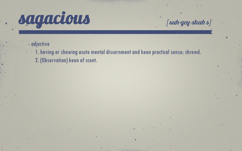 Definition of Sagacious