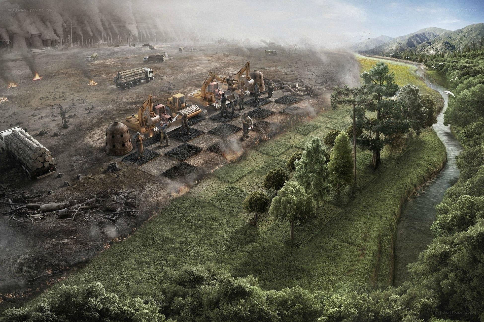 Deforestation and industrialization
