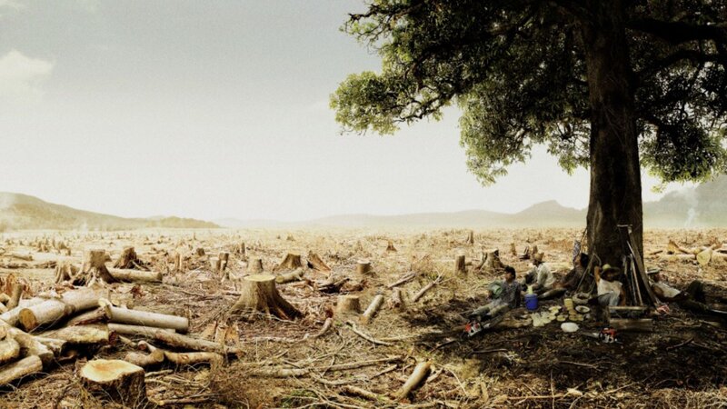 Deforestation and workers resting