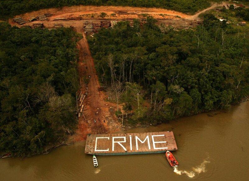 Deforestation protest on river