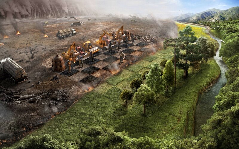 Deforestation Scene