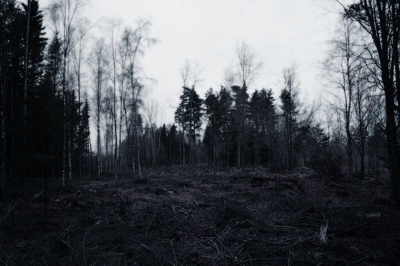 Deforested Forest Area — Gray
