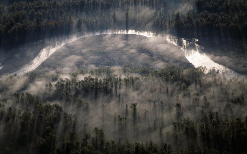 Deforested Hill in Forest