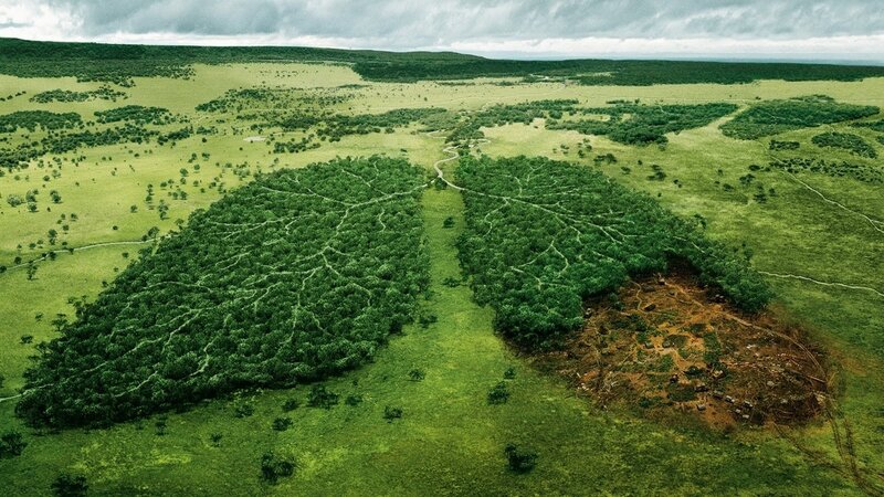 Deforested Land — Green