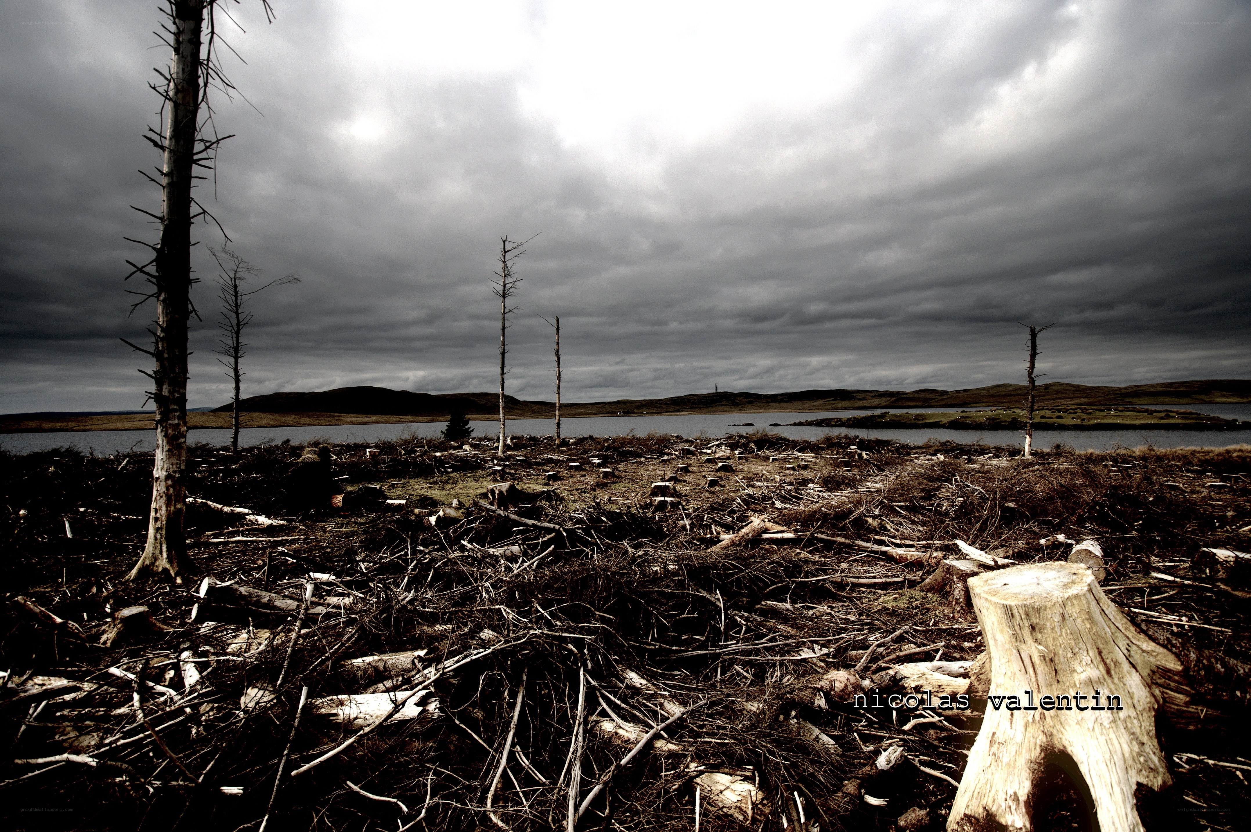 Deforested landscape by lake