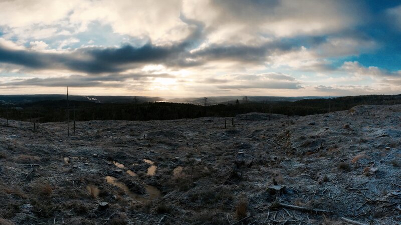 Deforested Landscape — Gray