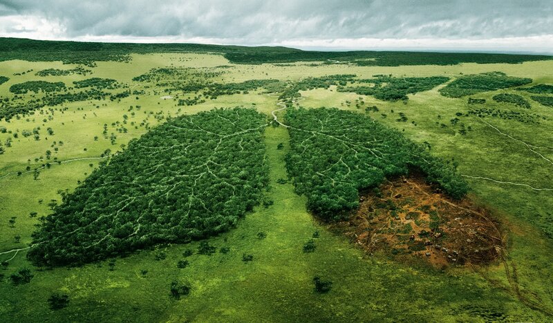Deforested Lungs — Green, Dramatic