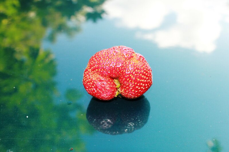 Deformed Strawberry