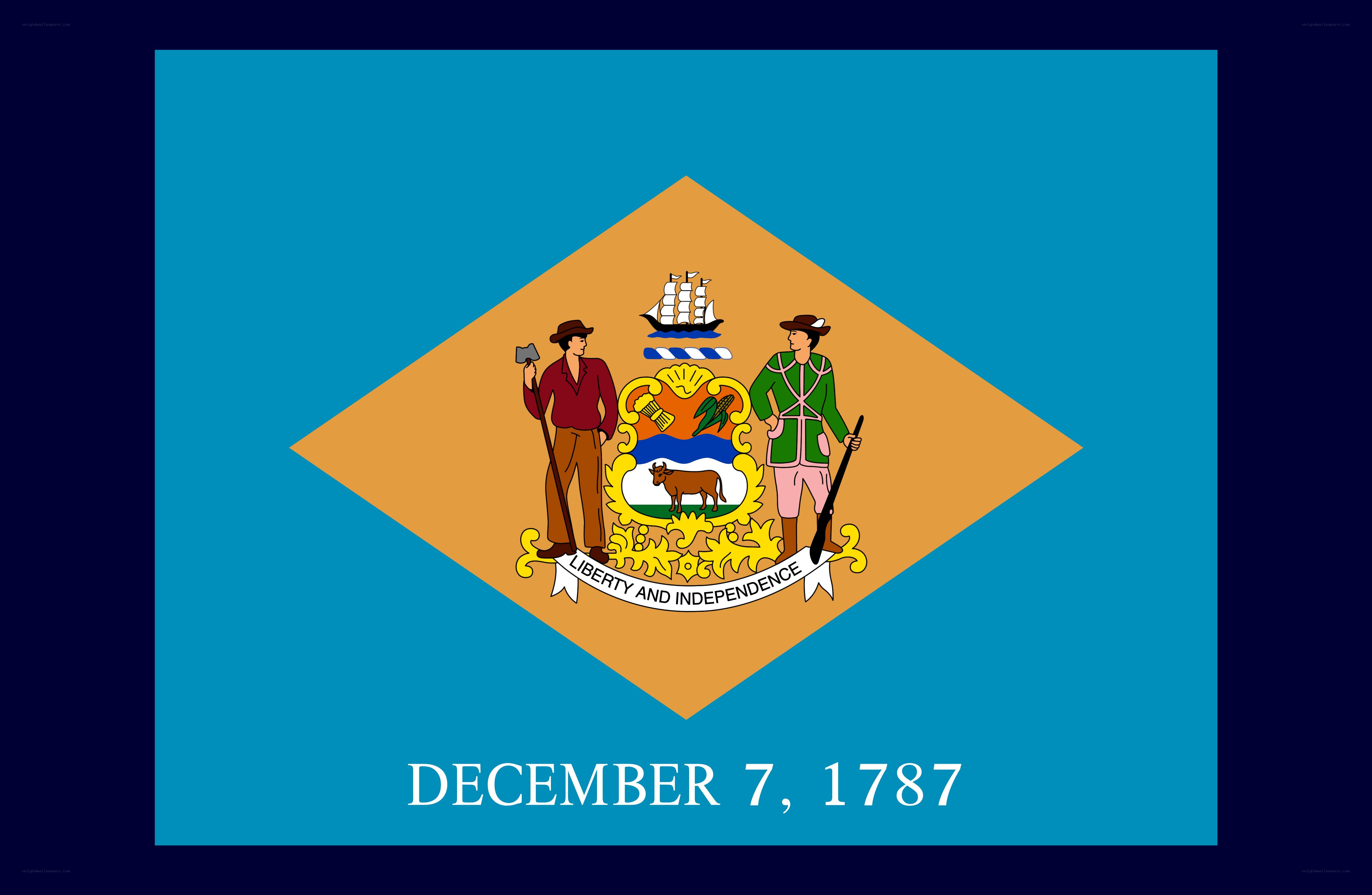 Delaware state flag
