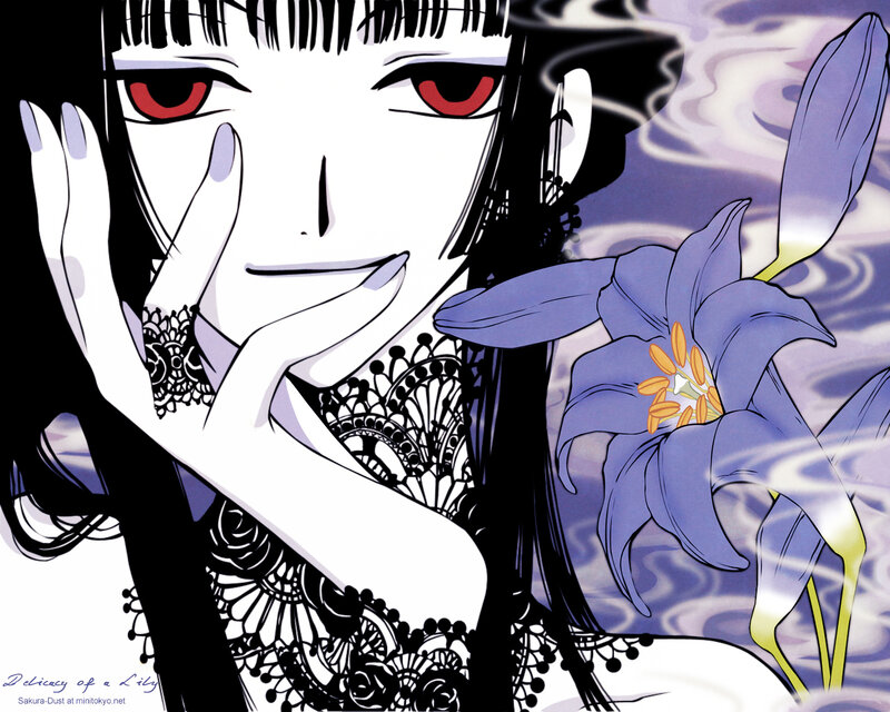 Delicacy of a Lily