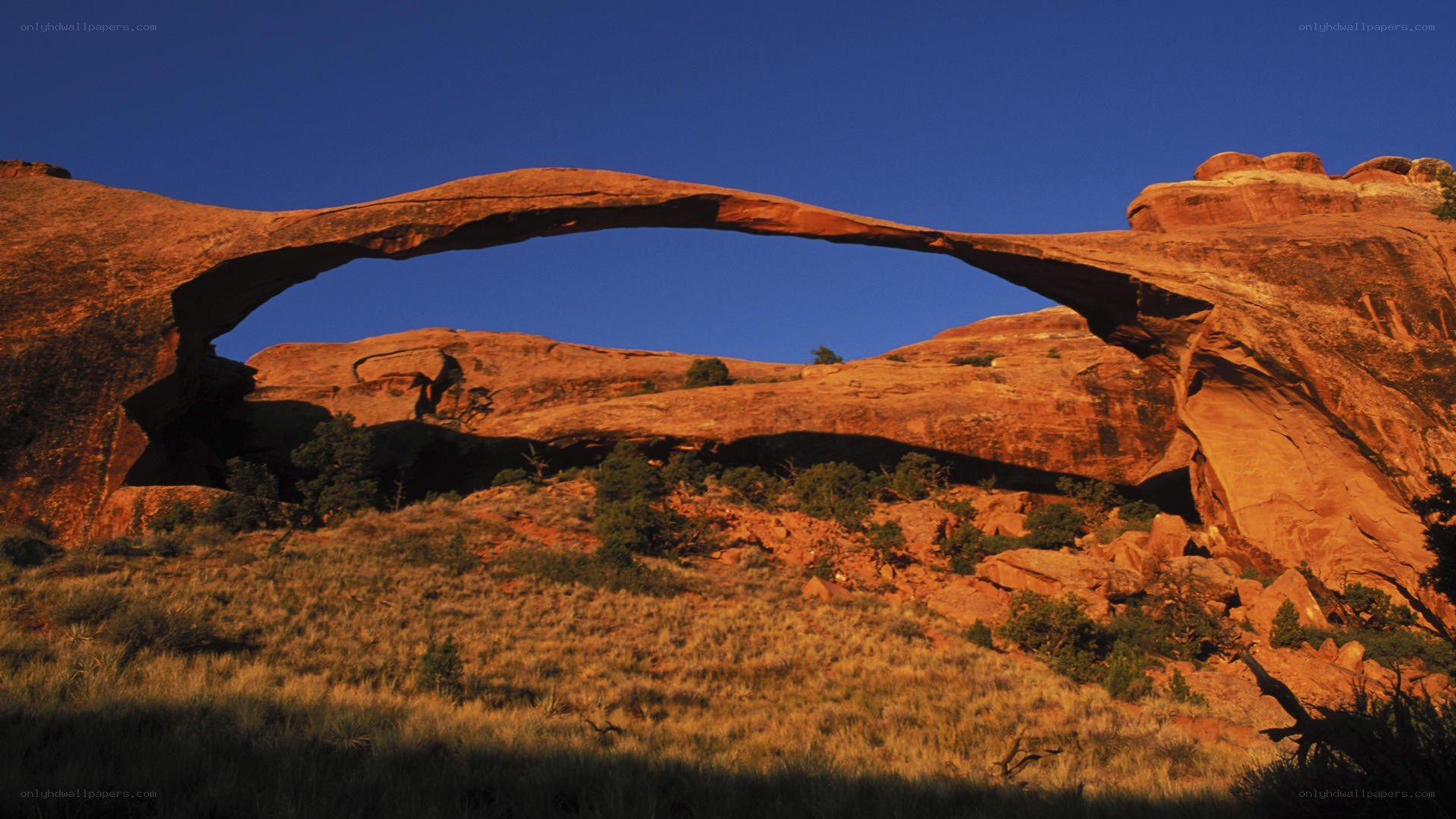 Delicate Arch at sunrise