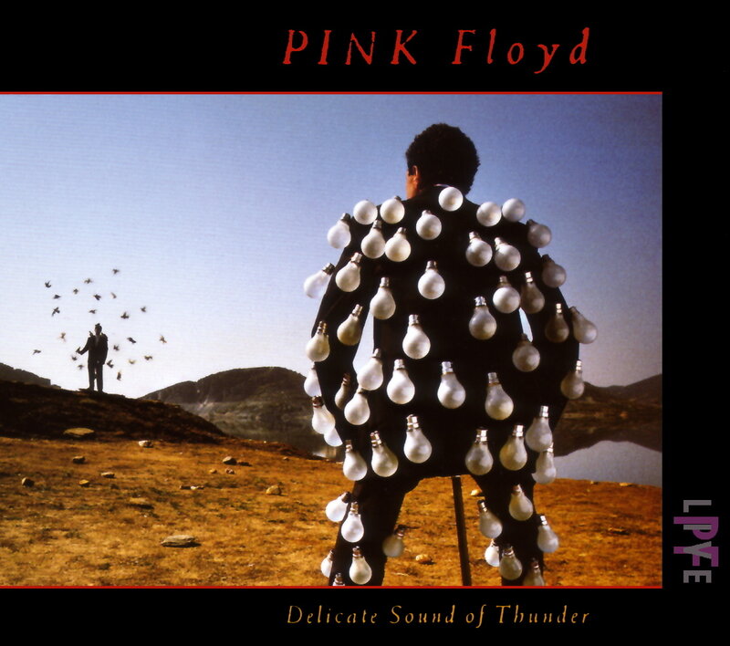 Delicate Sound of Thunder