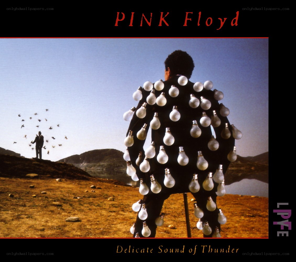 Delicate Sound of Thunder