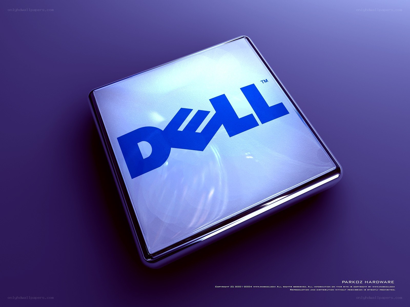 Dell logo on a purple background