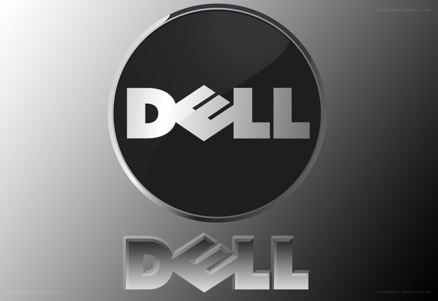 Dell logo on gradient background