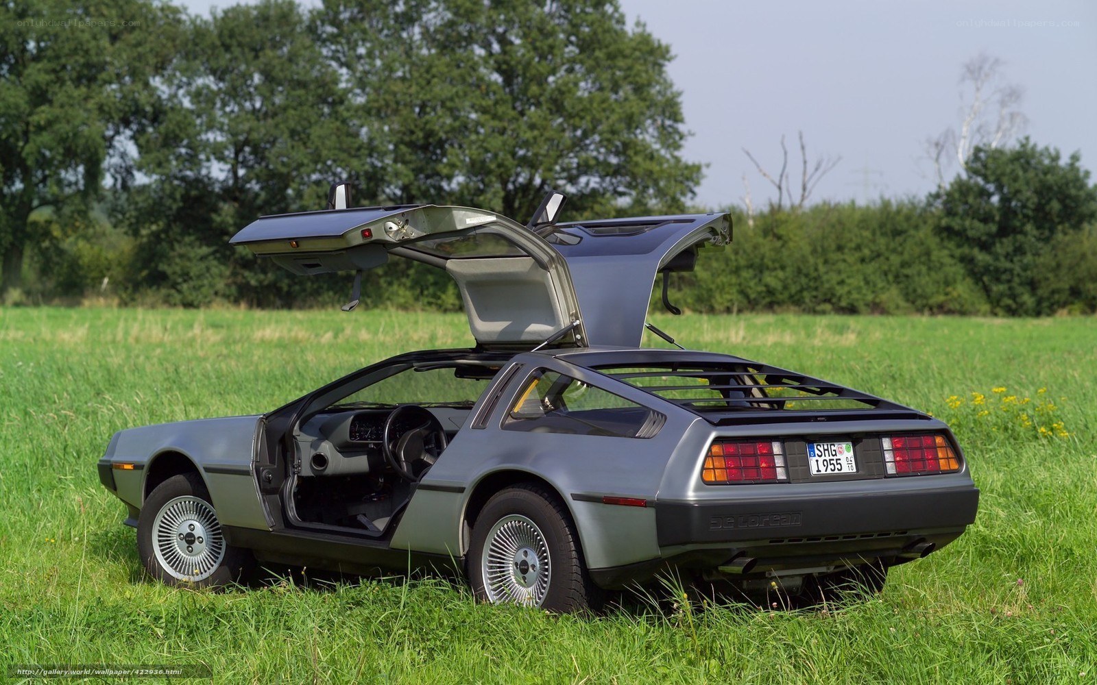 DeLorean DMC-12 in a field