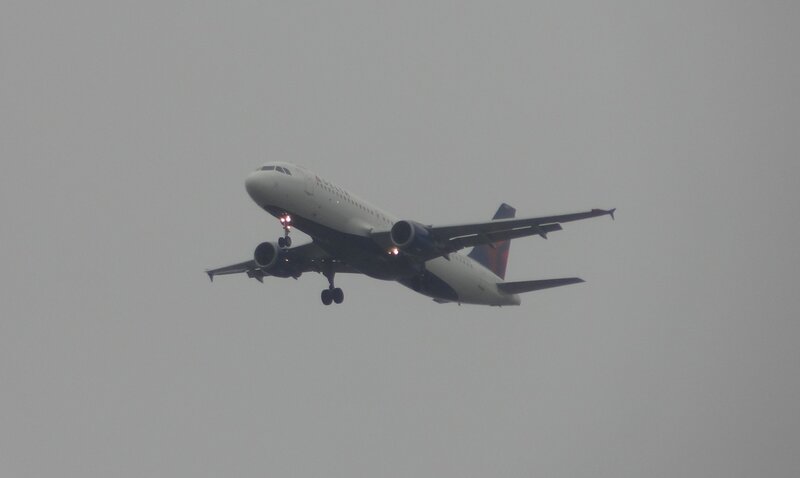 Delta Air Lines Airplane — Gray, Overcast