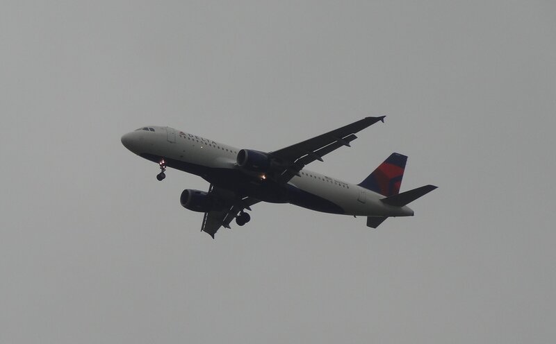 Delta Airplane in Flight — Gray