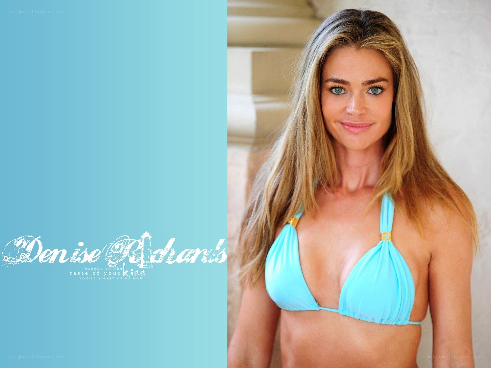 Denise Richards in a bikini