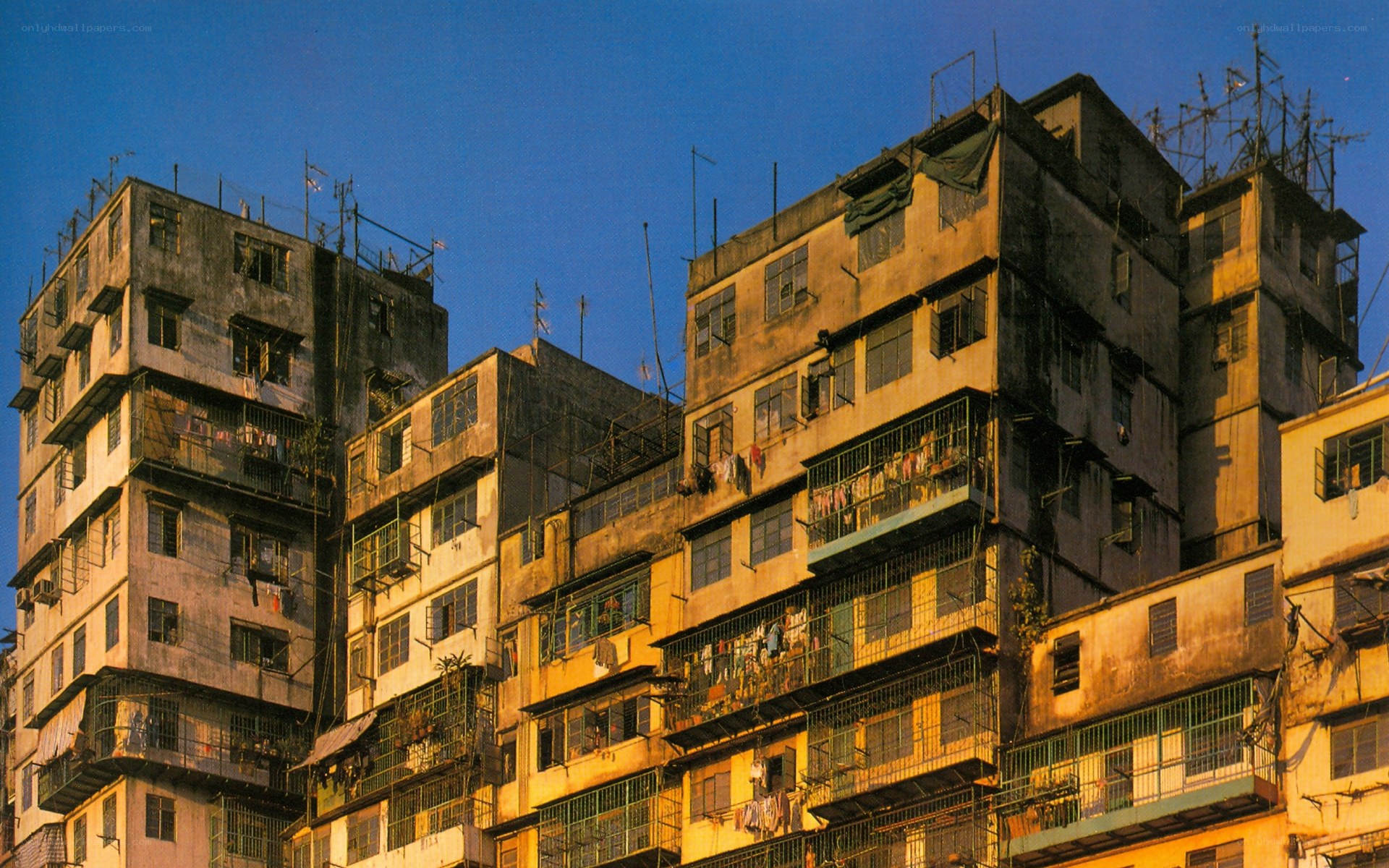 Dense apartment buildings at dusk