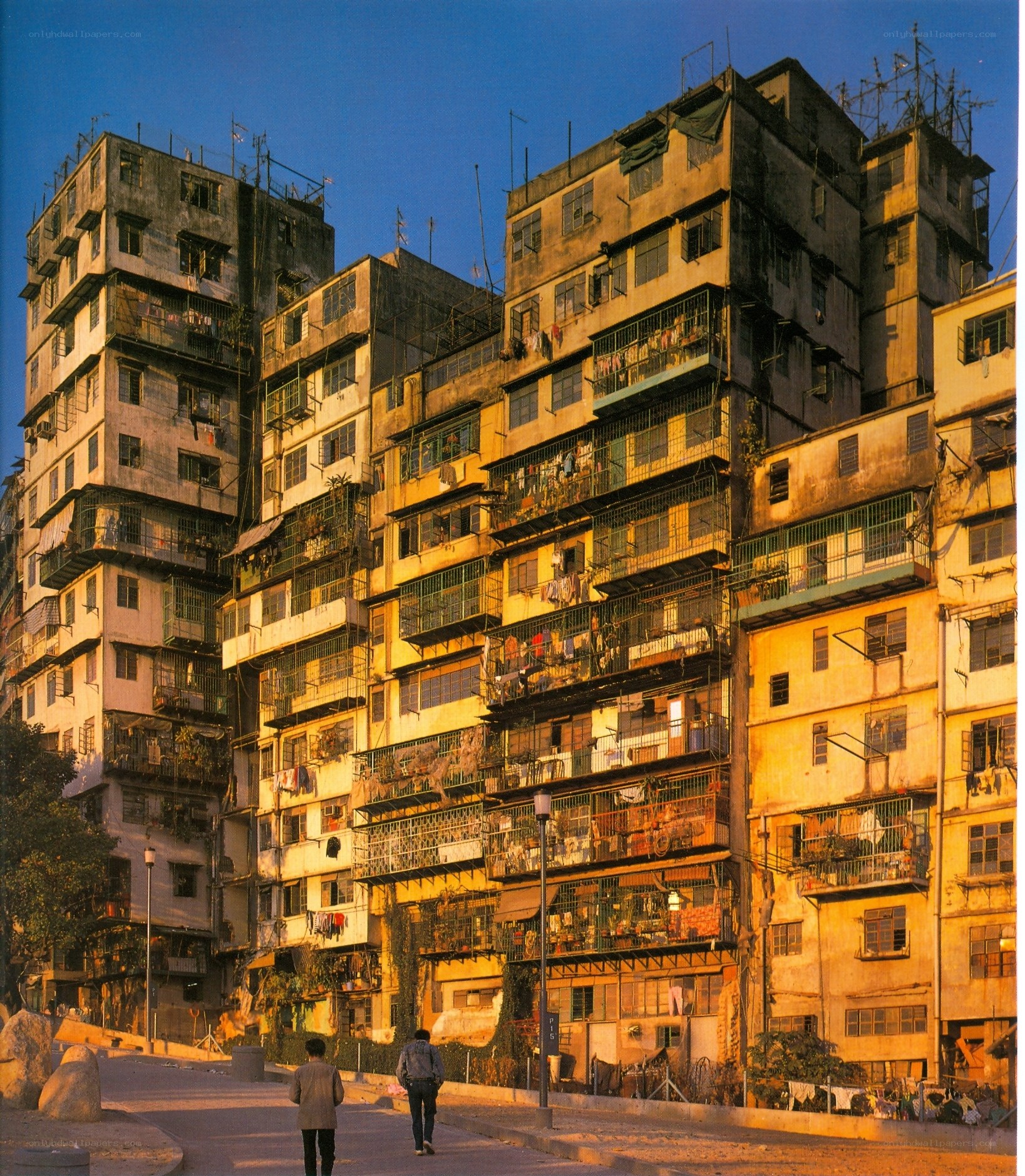 Dense apartment buildings at sunset