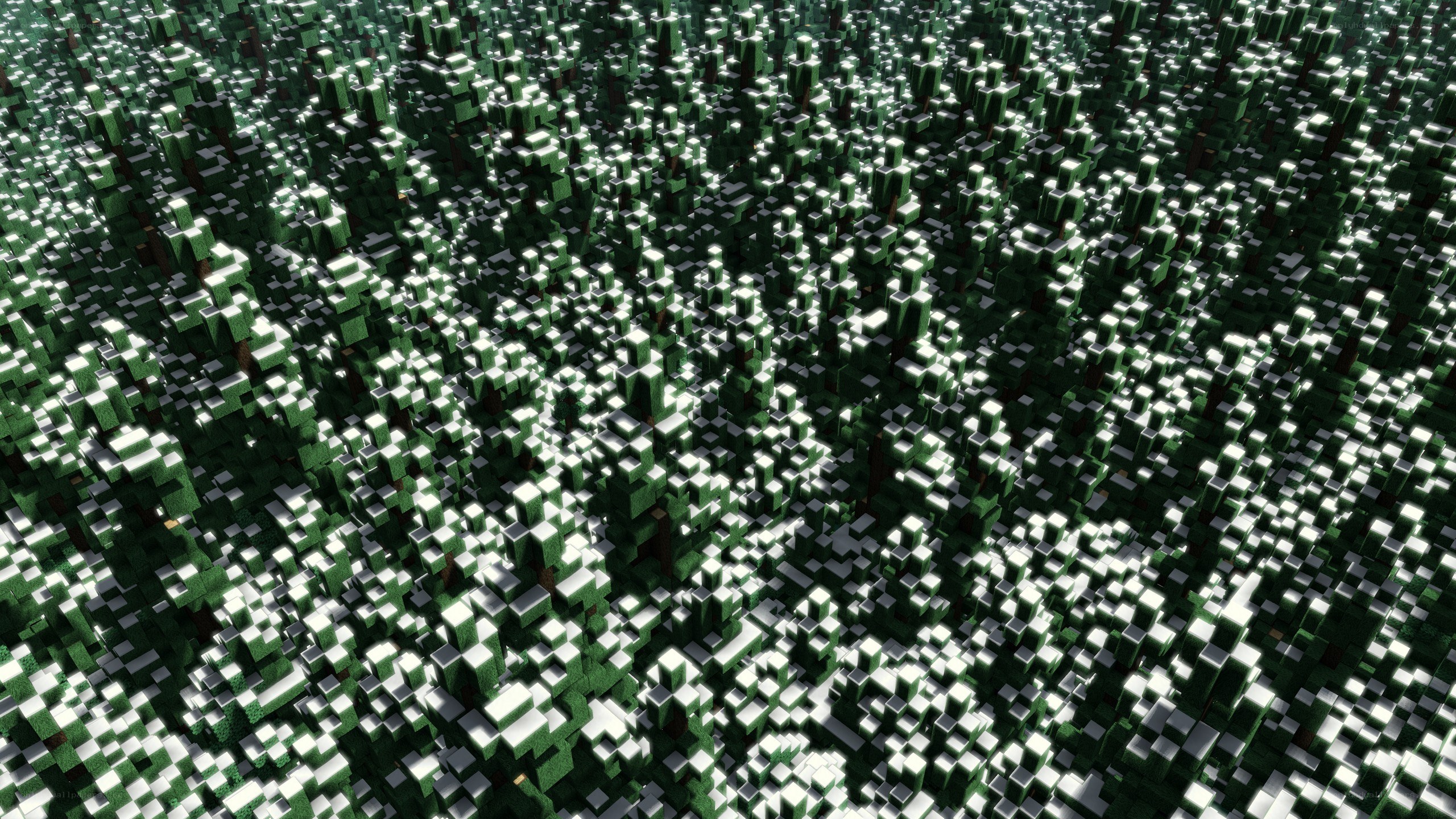 dense blocky forest