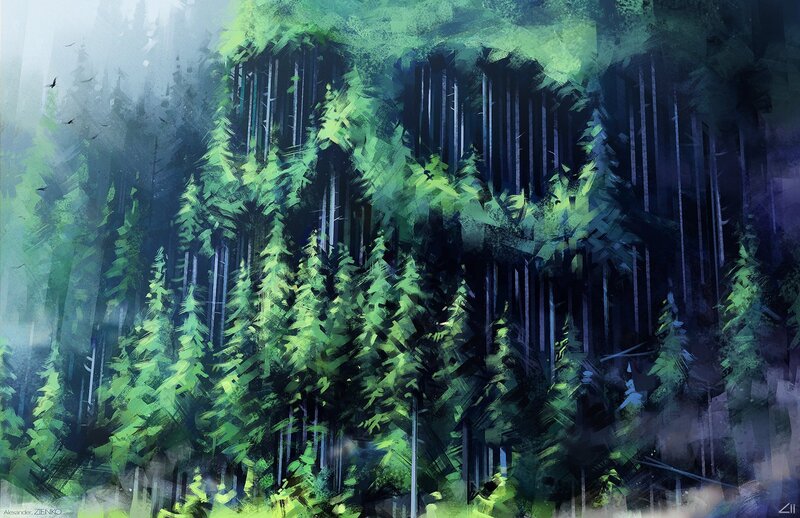 Dense Evergreen Forest — Green, Mysterious