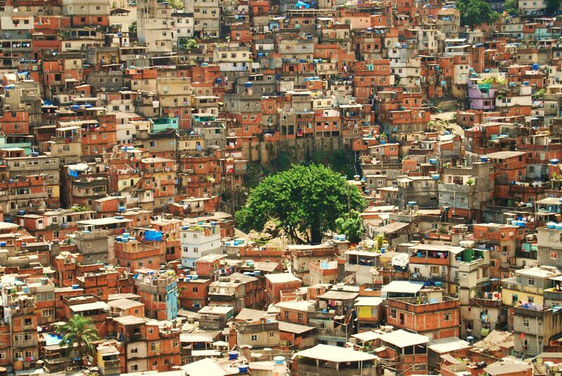 Dense favela settlement