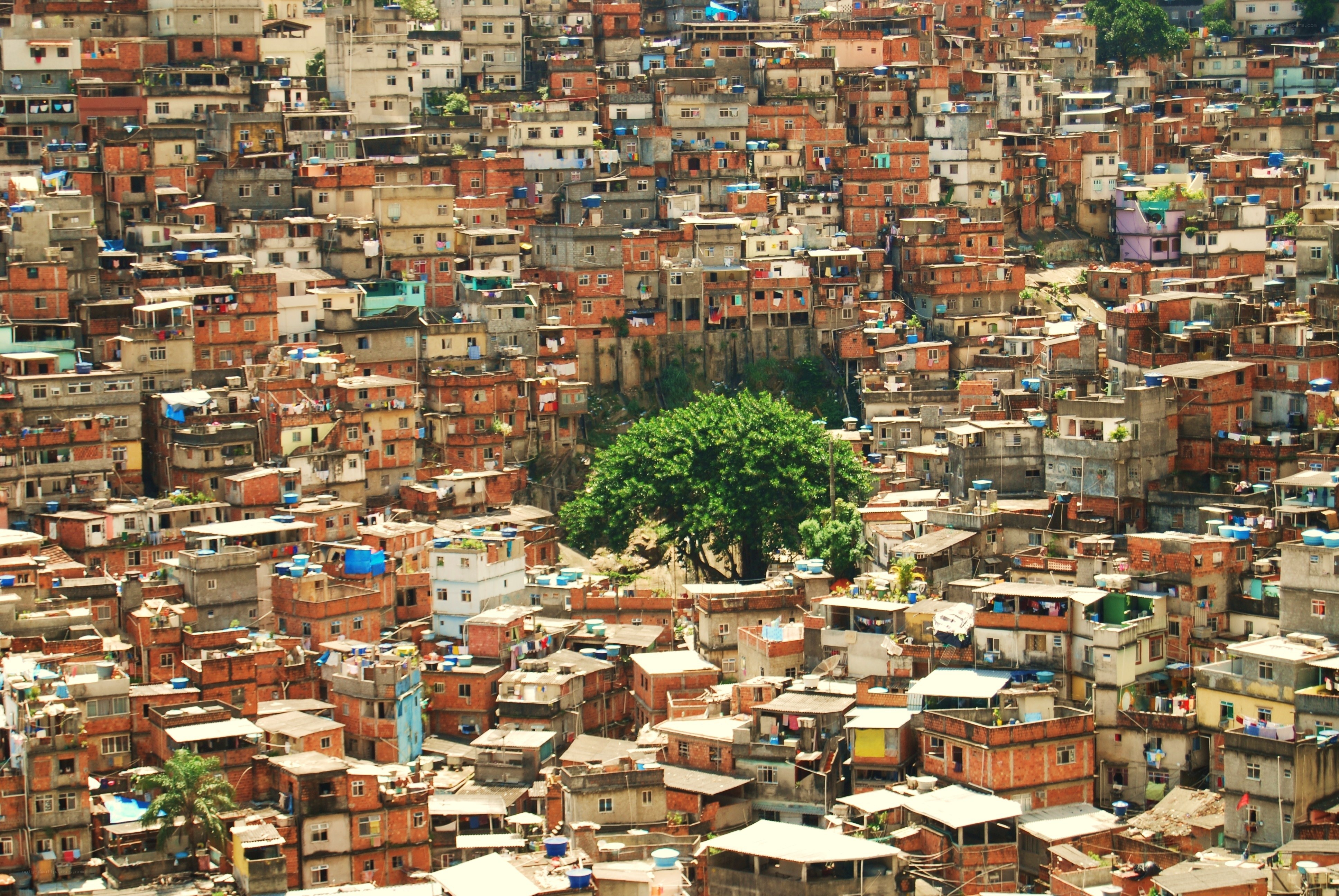 Dense favela settlement