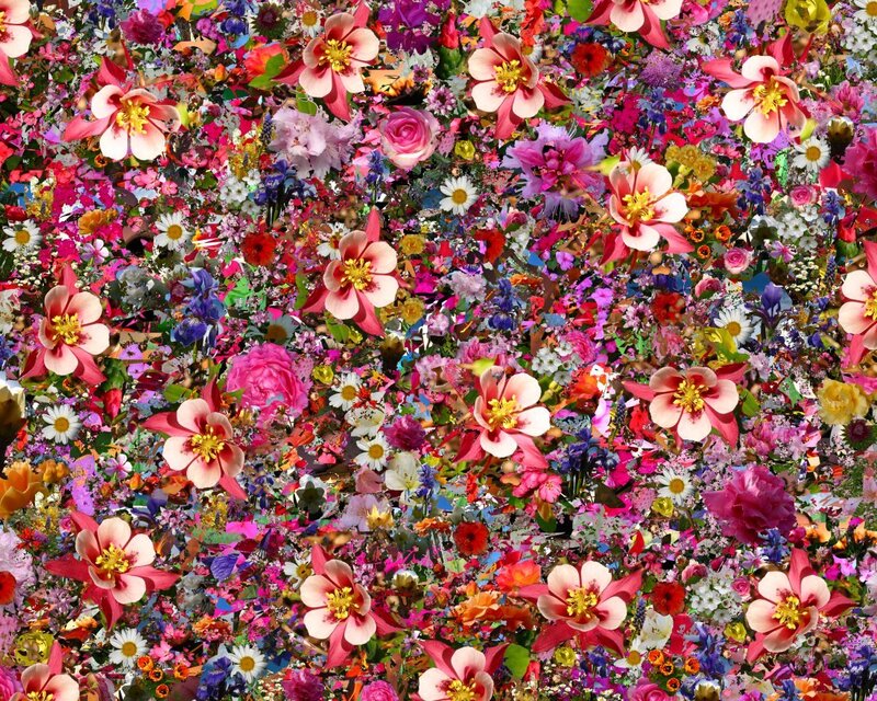 Dense Flower Collage