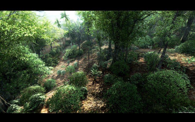 Dense Forest Landscape — Green, Serene
