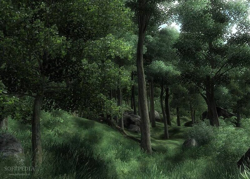 Dense Forest Landscape — Green