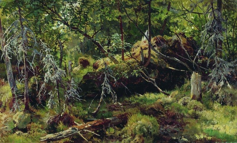Dense Forest Scene — Green