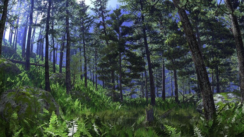 Dense Forest with Ferns — Green, Serene, Morning, 3d Render