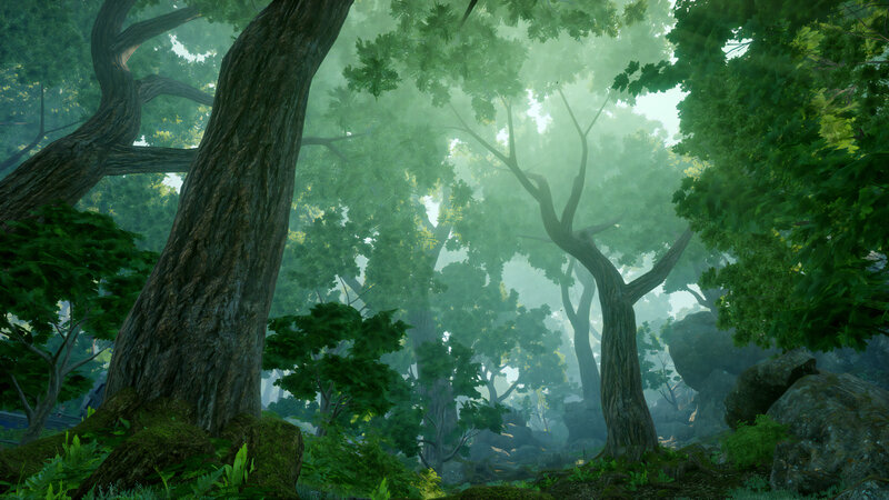 Dense Forest with Mossy Trees — Green
