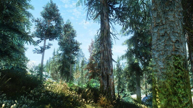 Dense Forest with Tall Trees — Green, Serene, Afternoon, 3d Render