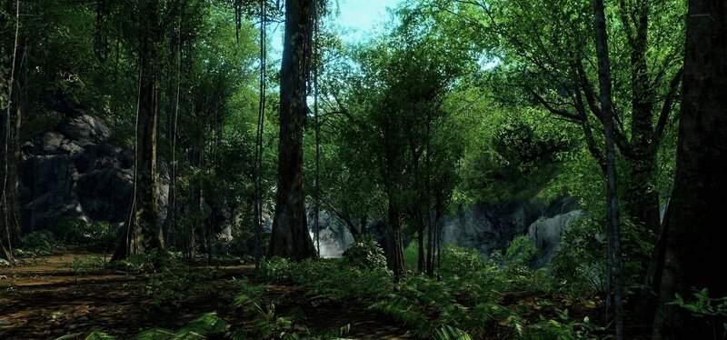 Dense Forest with Waterfall