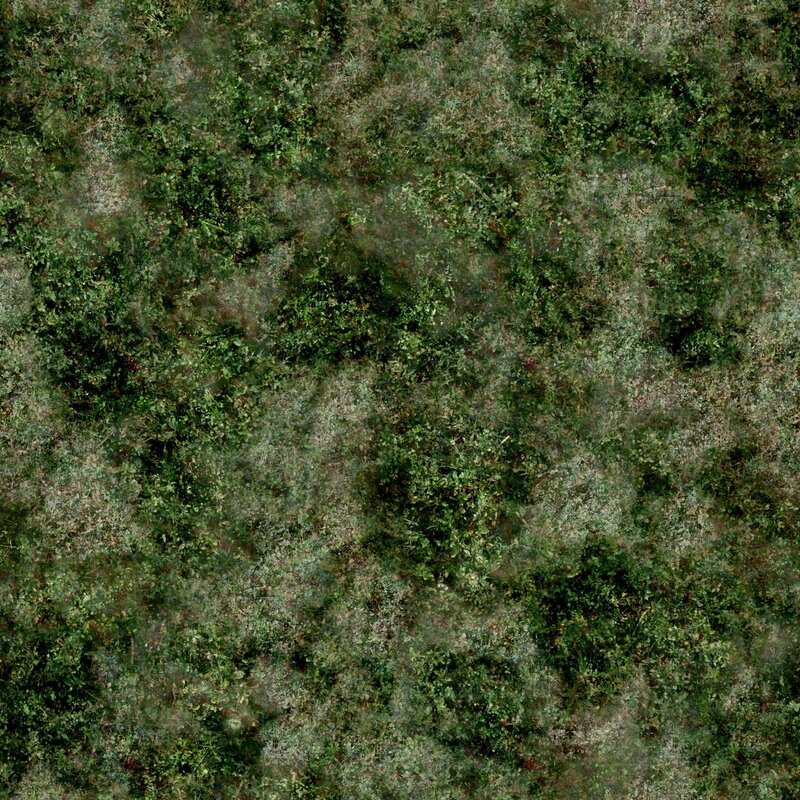 dense green foliage texture