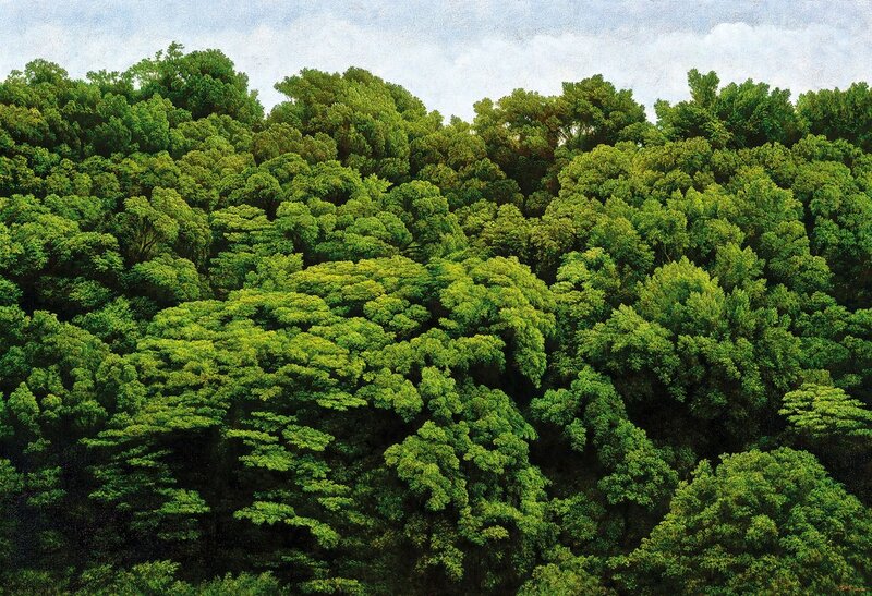 Dense Green Forest — Serene, Afternoon, Painting