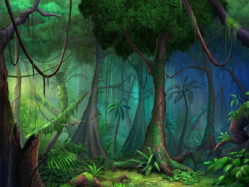 Dense Jungle Forest — Green