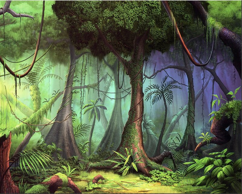 dense jungle forest