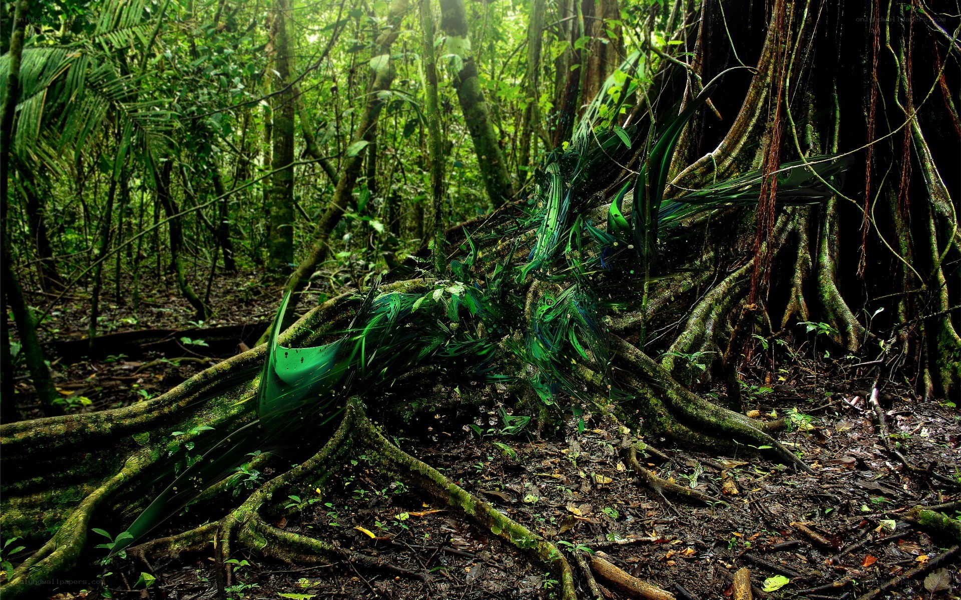 dense jungle with exposed roots