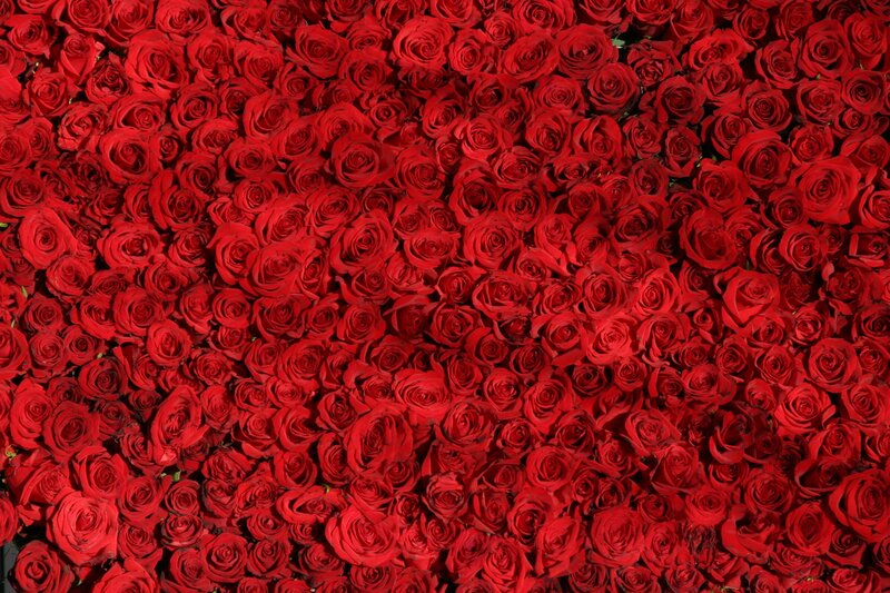 dense red rose arrangement