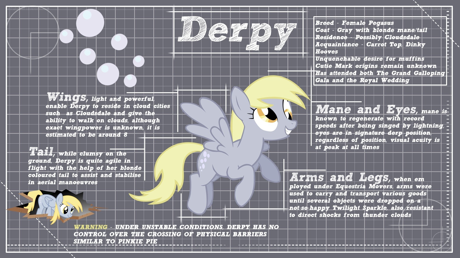Derpy Hooves character sheet