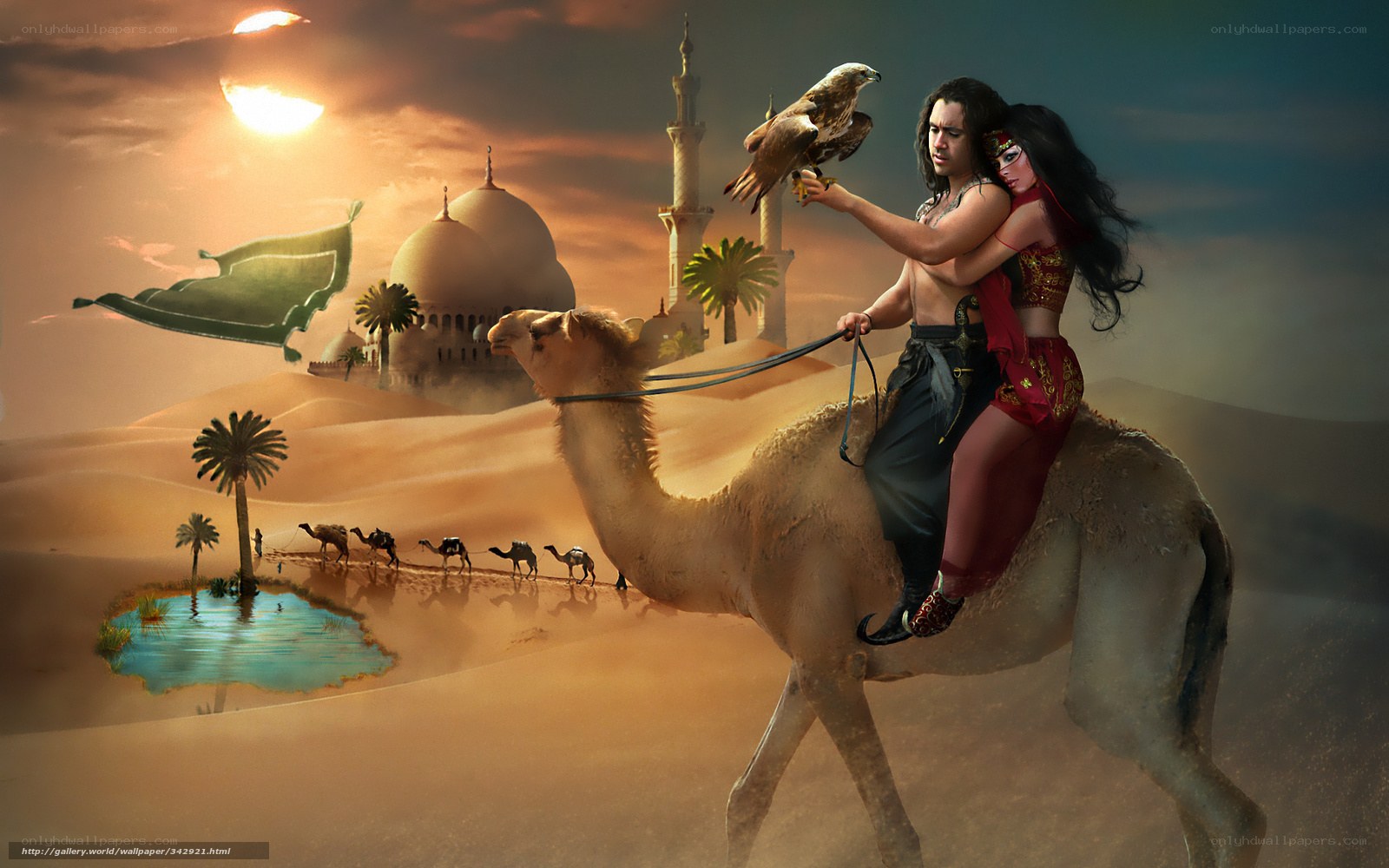 Desert adventure with falcon