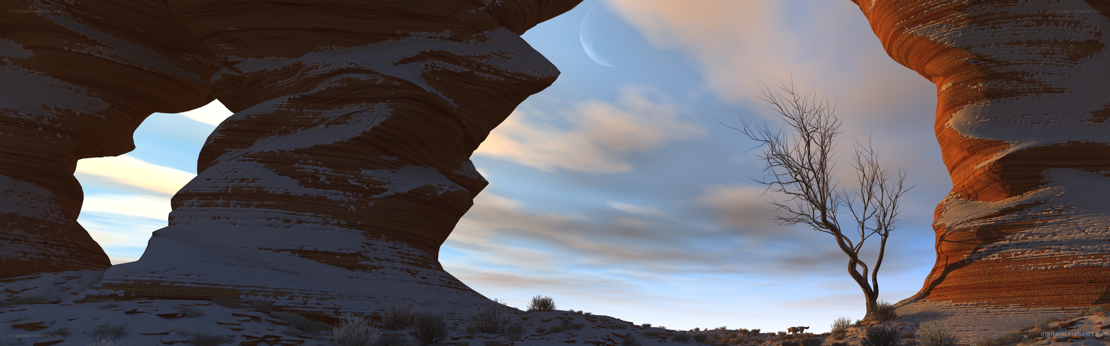 Desert arch with snow and moon