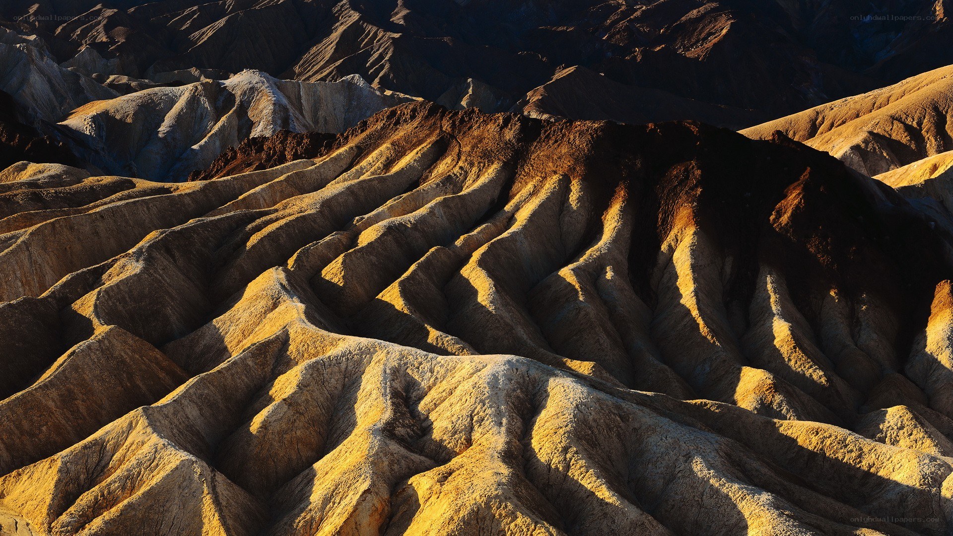 Desert badlands at sunrise
