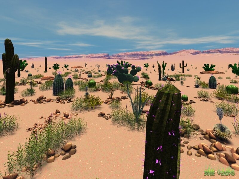 Desert Cactus Landscape — Brown
