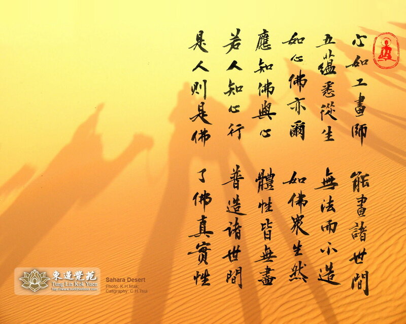 Desert Calligraphy Art