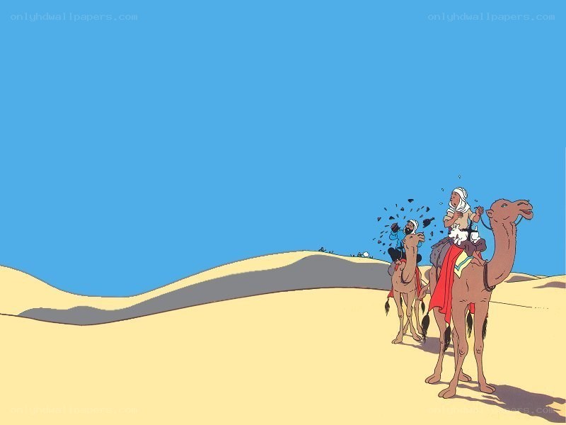 Desert camel caravan